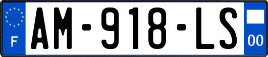 AM-918-LS