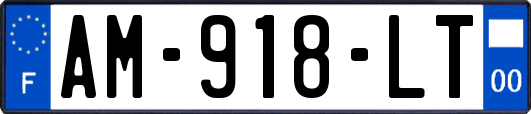 AM-918-LT