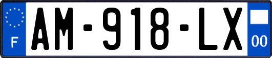 AM-918-LX