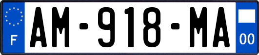 AM-918-MA