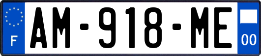 AM-918-ME
