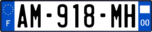 AM-918-MH