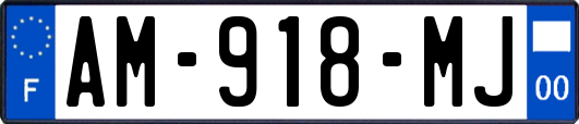 AM-918-MJ