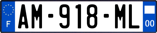 AM-918-ML