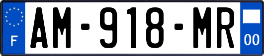 AM-918-MR
