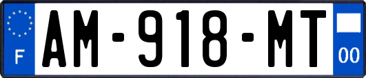 AM-918-MT