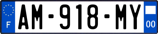 AM-918-MY