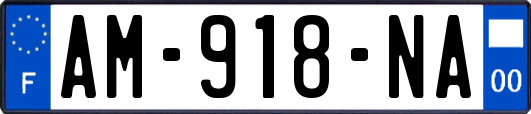 AM-918-NA