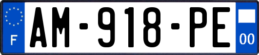 AM-918-PE