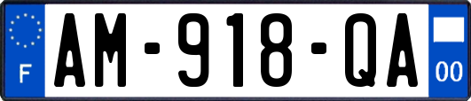 AM-918-QA