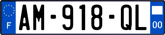 AM-918-QL