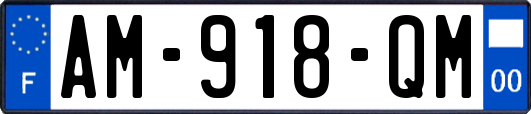 AM-918-QM