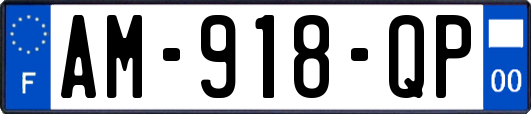 AM-918-QP