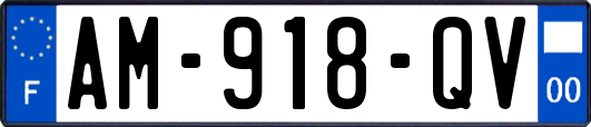 AM-918-QV