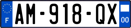 AM-918-QX