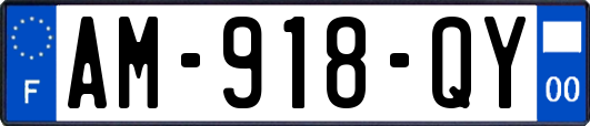 AM-918-QY