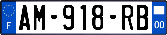 AM-918-RB