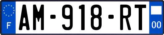 AM-918-RT