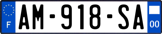AM-918-SA
