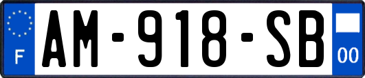 AM-918-SB