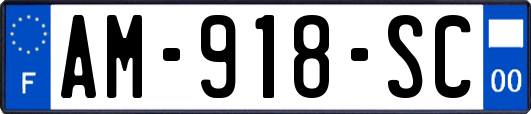 AM-918-SC