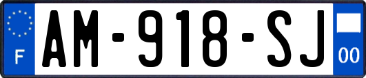 AM-918-SJ