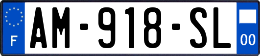 AM-918-SL