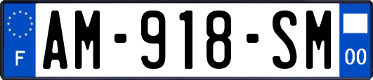 AM-918-SM