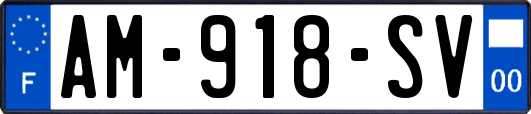 AM-918-SV