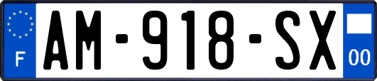 AM-918-SX
