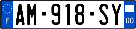 AM-918-SY