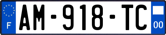AM-918-TC