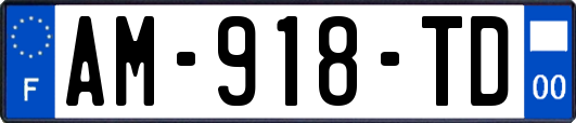 AM-918-TD