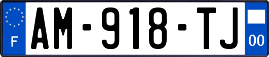 AM-918-TJ