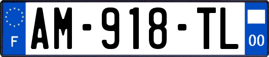 AM-918-TL