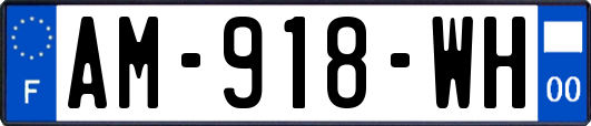 AM-918-WH