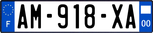AM-918-XA