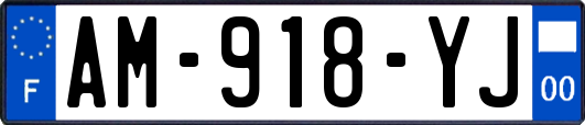 AM-918-YJ