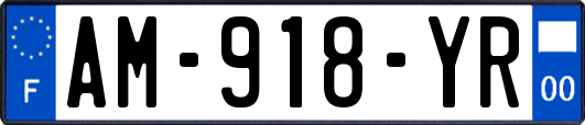 AM-918-YR