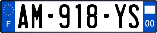 AM-918-YS