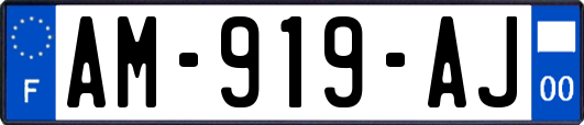 AM-919-AJ