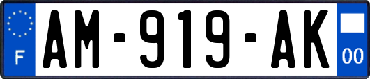 AM-919-AK