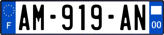 AM-919-AN