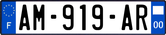 AM-919-AR