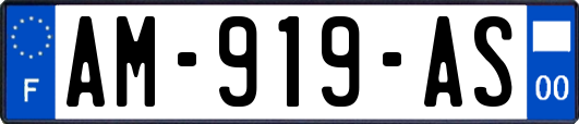 AM-919-AS