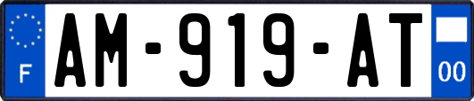 AM-919-AT