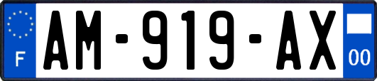 AM-919-AX