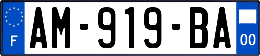 AM-919-BA