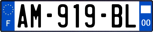 AM-919-BL
