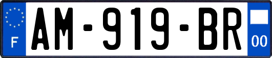 AM-919-BR